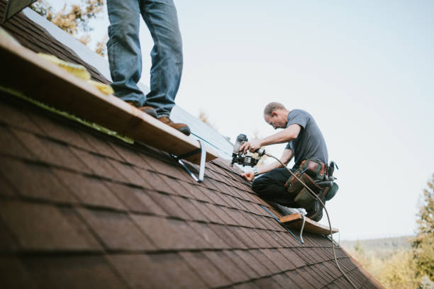 Roof Gutter Cleaning in Wrightsville, GA